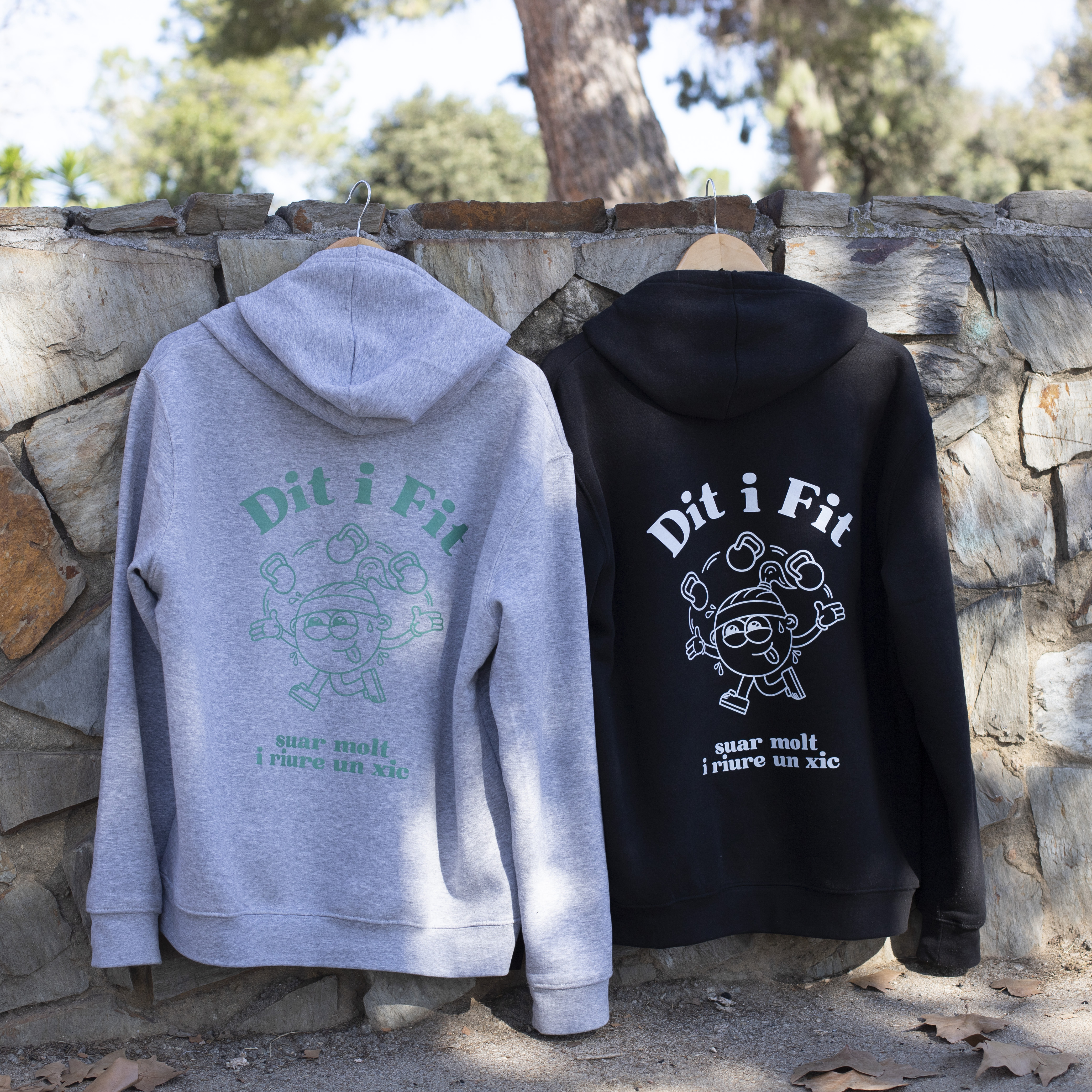 disseny-grafic-web-miquel-martinez-dit-i-fit-3