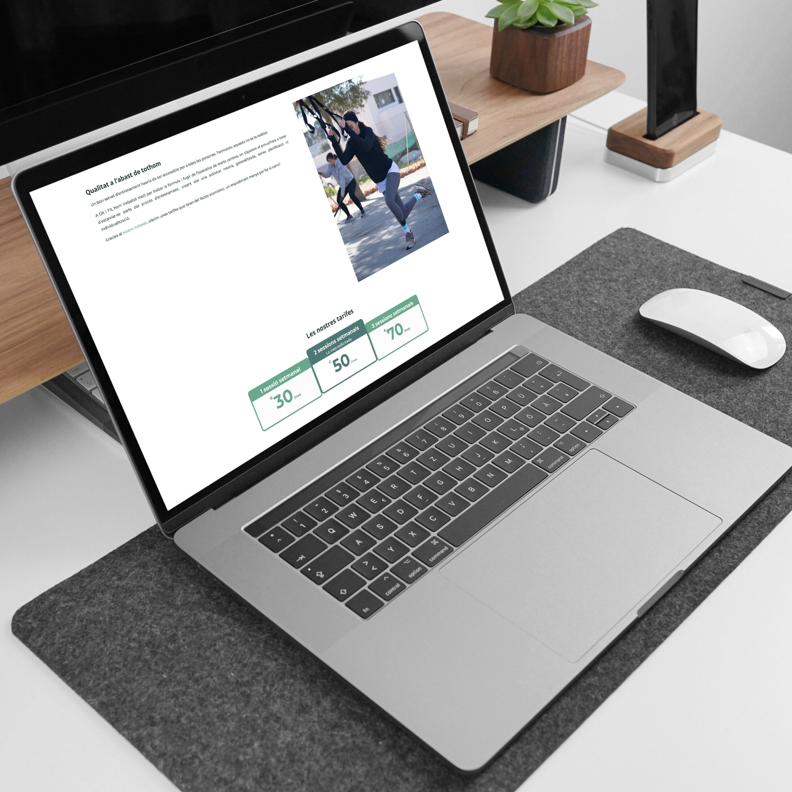 disseny-grafic-web-miquel-martinez-dit-i-fit-5