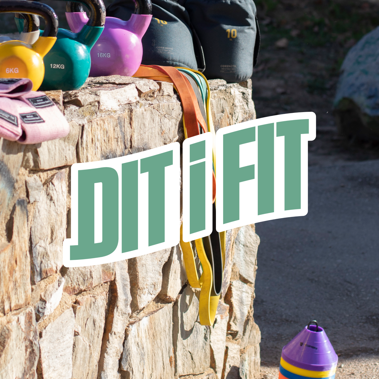 disseny-grafic-web-miquel-martinez-dit-i-fit